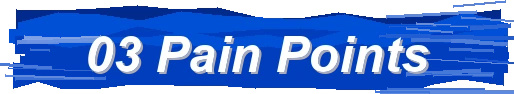03 / Pain Points