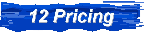 12 / Pricing